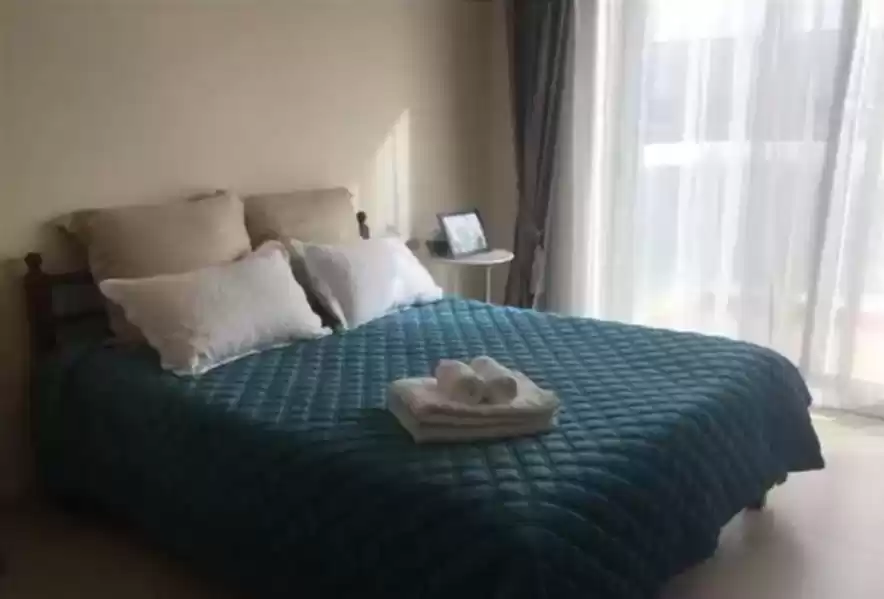 Residential Ready Property 1 Bedroom F/F Apartment  for rent in Dubai #23339 - 1  image 