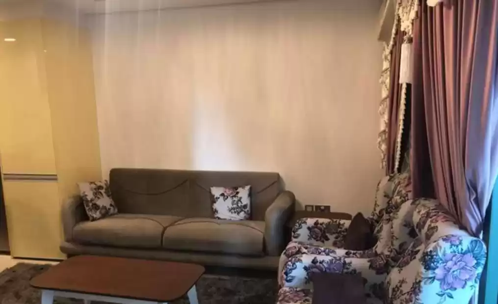 مسکونی املاک آماده 1 اتاق خواب F/F اپارتمان  برای اجاره که در دبی #23764 - 1  image 