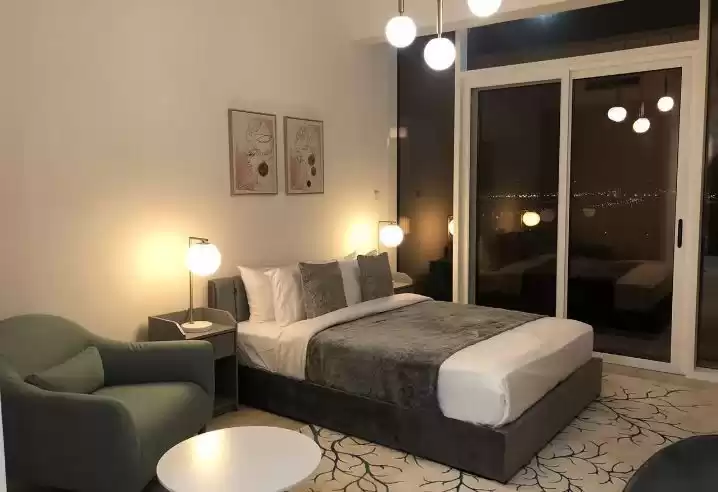 Résidentiel Propriété prête Studio F / F Appartement  a louer au Dubai #24091 - 1  image 