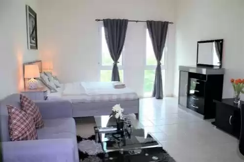 Residencial Listo Propiedad Estudio F / F Apartamento  alquiler en Dubái #24105 - 1  image 
