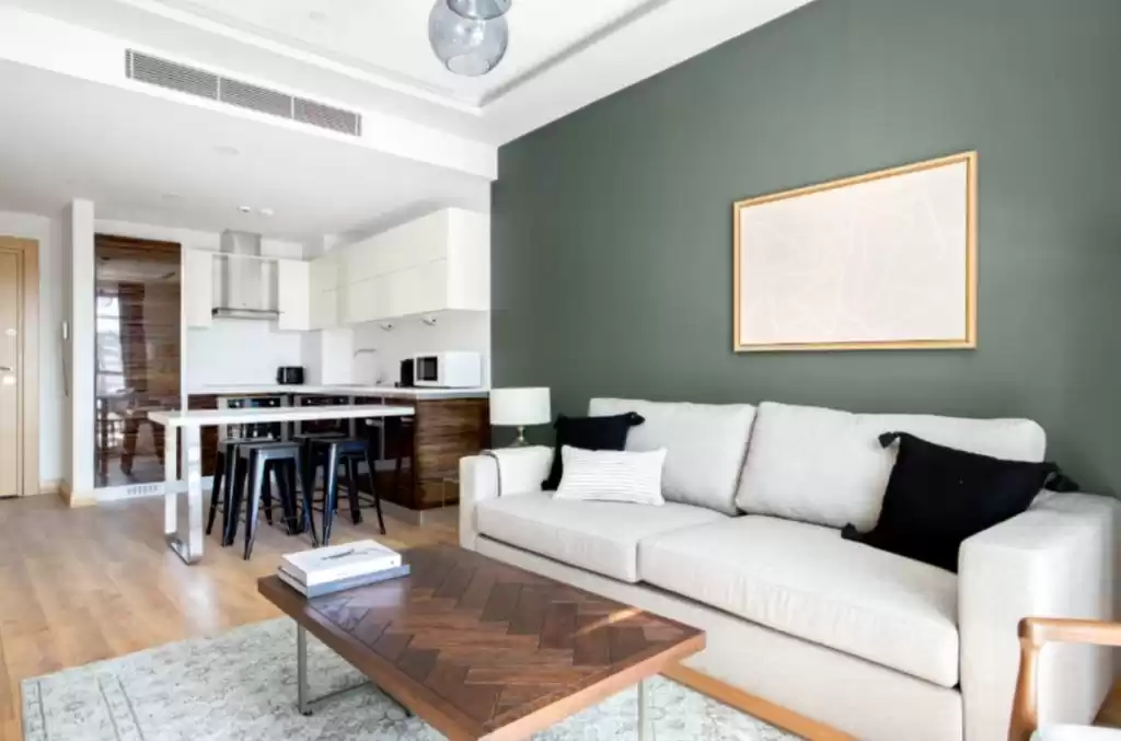 Residential Ready Property 1 Bedroom F/F Apartment  for rent in Istanbul #24700 - 1  image 