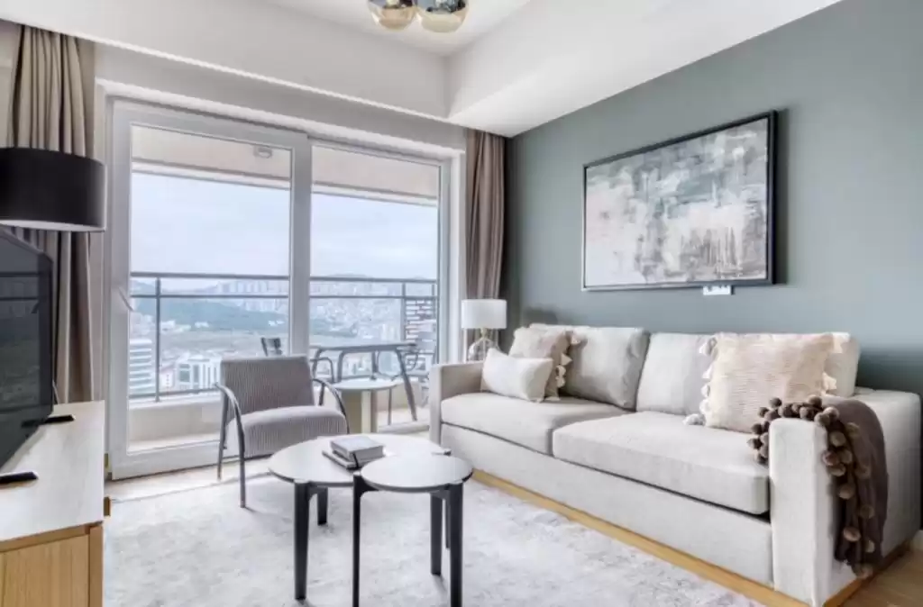 Residential Ready Property 1 Bedroom F/F Apartment  for rent in Istanbul #24783 - 1  image 