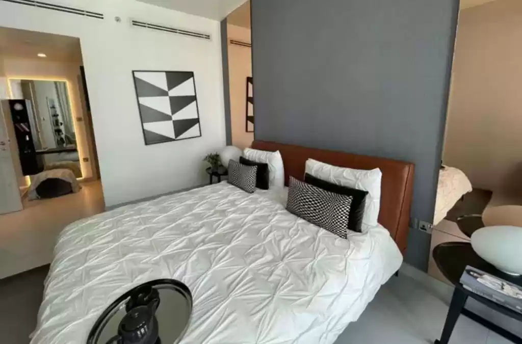 سكني عقار جاهز 1 غرفة  مفروش شقة  للبيع في دبي #24934 - 1  صورة 