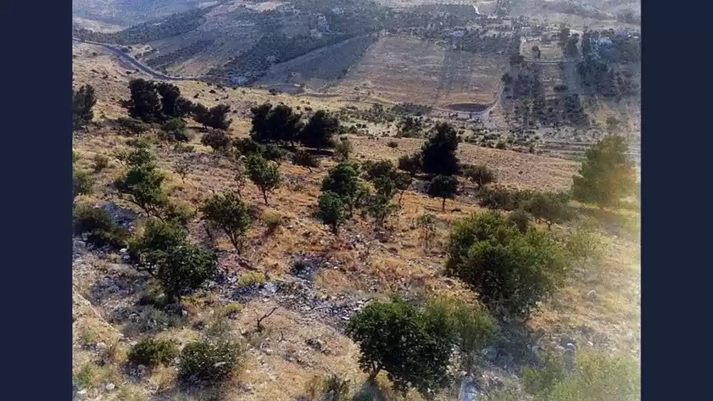 Land Ready Property Mixed Use Land  for sale in Amman #25401 - 1  image 