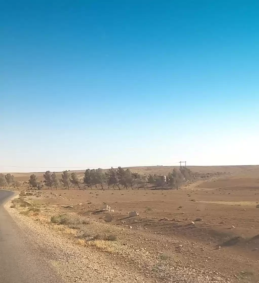 زمین املاک آماده زمین با کاربری مختلط  برای فروش که در امان #25623 - 1  image 