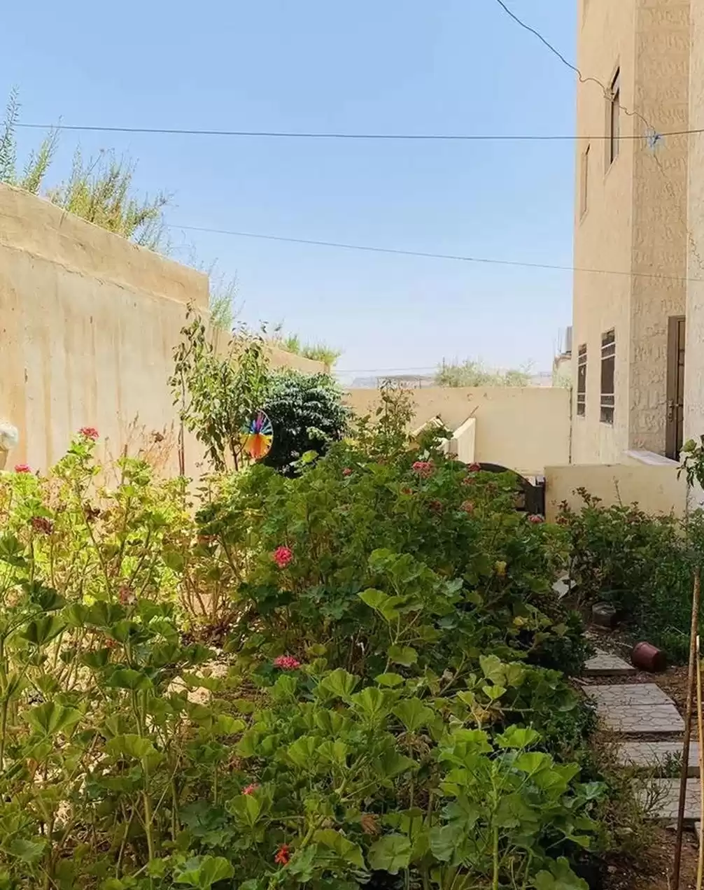 Residential Ready Property 3 Bedrooms U/F Apartment  for rent in Amman #25907 - 1  image 