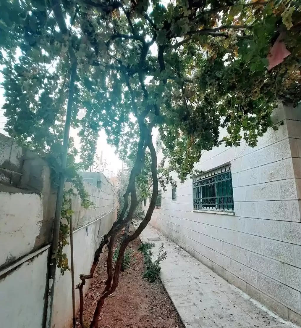 Residential Ready Property 2 Bedrooms U/F Apartment  for rent in Amman #26350 - 1  image 