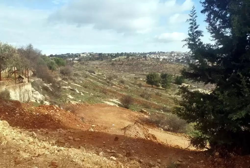 أرض عقار جاهز أرض سكنية  للبيع في عمان #26746 - 1  صورة 
