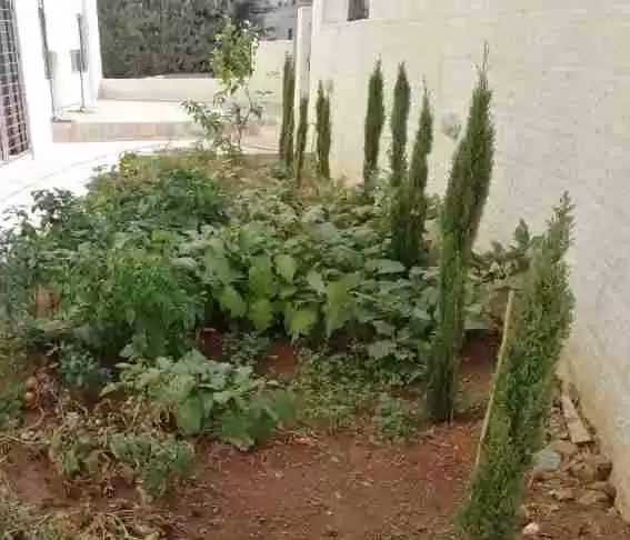 yerleşim Hazır Mülk 4 Yatak Odası U/F Apartman  satılık içinde Amman #27419 - 1  image 