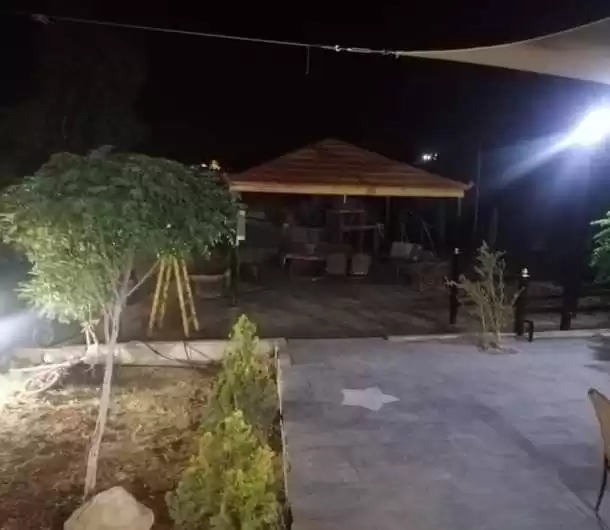 Residential Ready Property 2 Bedrooms F/F Standalone Villa  for rent in Amman #28109 - 1  image 