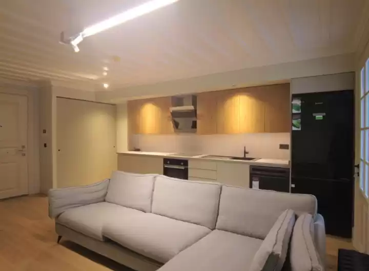 yerleşim Hazır Mülk 1 yatak odası U/F Apartman  satılık içinde İstanbul #28216 - 1  image 