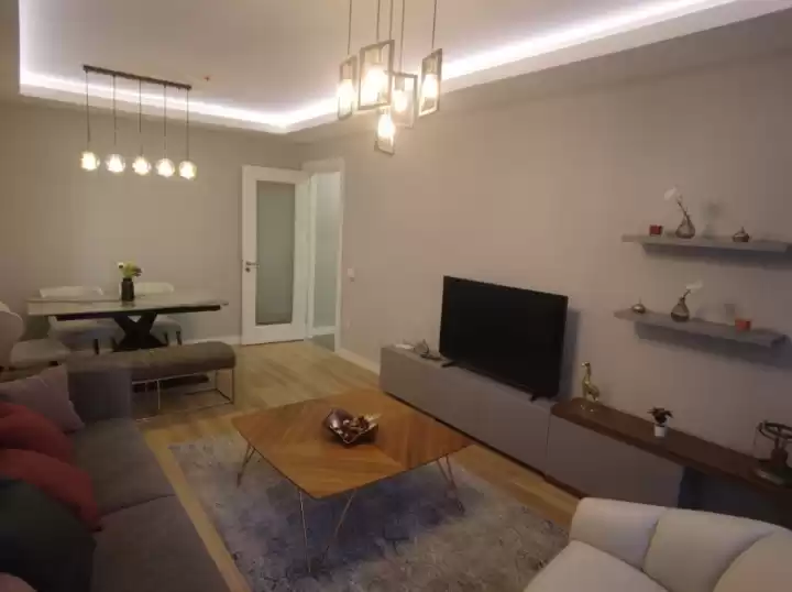 مسکونی خارج از طرح 2 اتاق خواب U/F اپارتمان  برای فروش که در استنبول #28217 - 1  image 