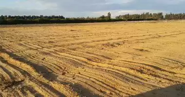 Land Ready Property Mixed Use Land  for sale in Damascus #31013 - 1  image 