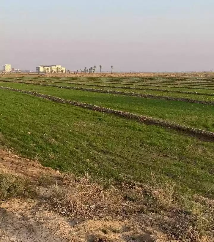 زمین املاک آماده زمین مسکونی  برای فروش که در قاهره-استان #38207 - 1  image 