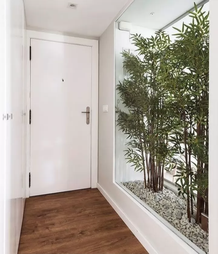 住宅 就绪物业 3 间卧室 公寓  出售 在 亚历山大省 #38709 - 1  image 