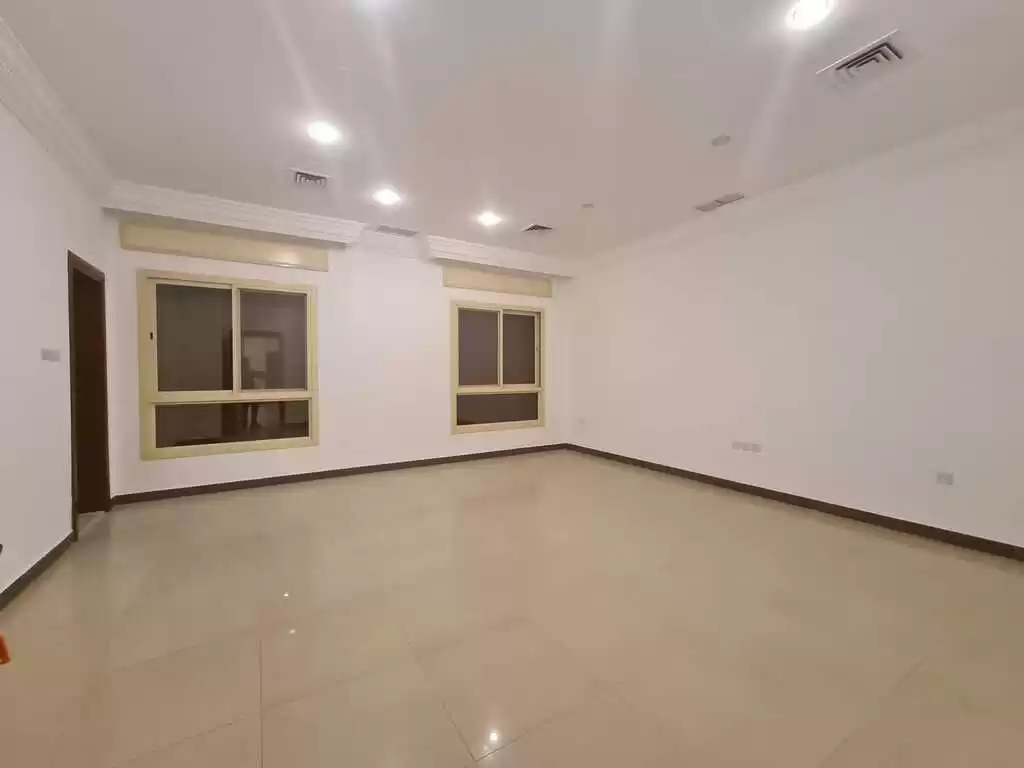 Résidentiel Propriété prête 2 chambres S / F Appartement  à vendre au Le-Caire , Gouvernorat-du-Caire #40990 - 1  image 
