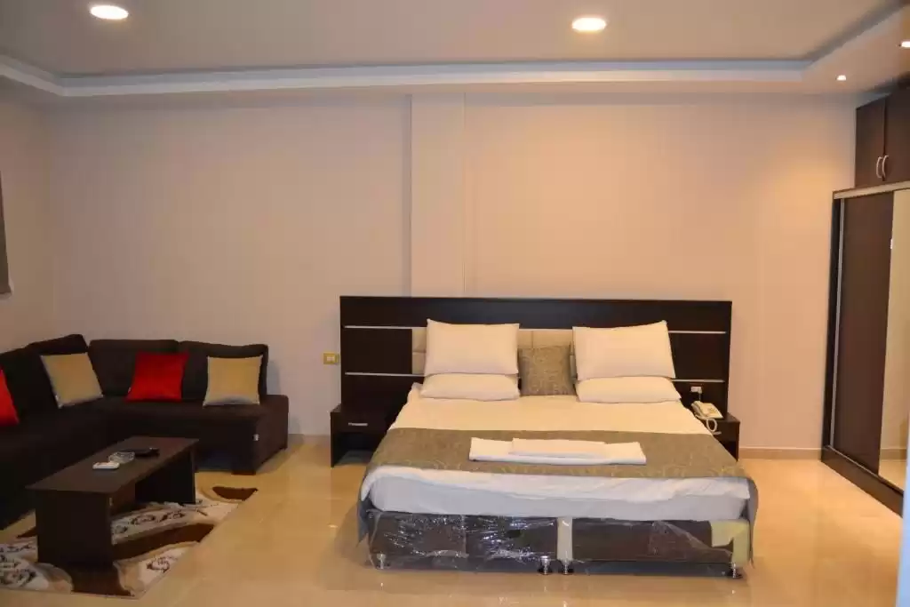 Résidentiel Propriété prête 2 chambres S / F Appartement  à vendre au Le-Caire , Gouvernorat-du-Caire #41703 - 1  image 