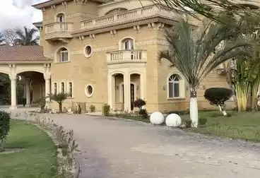 مسکونی املاک آماده 5 اتاق خواب U/F ویلای مستقل  برای فروش که در قاهره , قاهره-استان #42350 - 1  image 