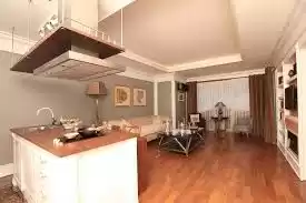Mixed Use Ready Property 2 Bedrooms S/F Duplex  for sale in Istanbul #42863 - 1  image 