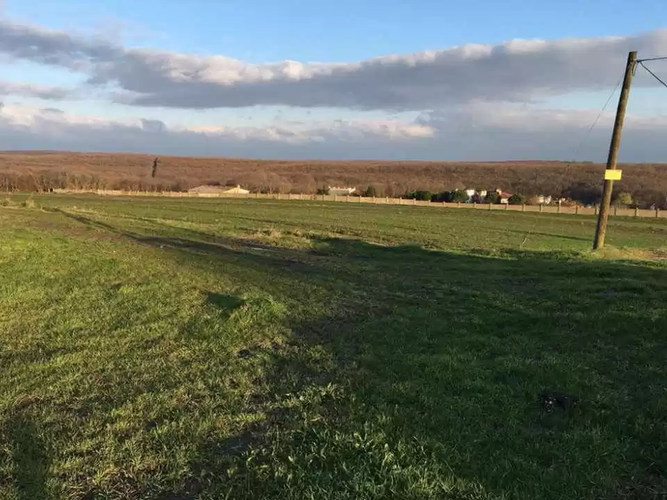Terre Propriété prête Terrain Commercial  a louer au Istanbul #43435 - 1  image 