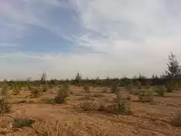 Terre Propriété prête Terrain Commercial  a louer au Istanbul #43441 - 1  image 