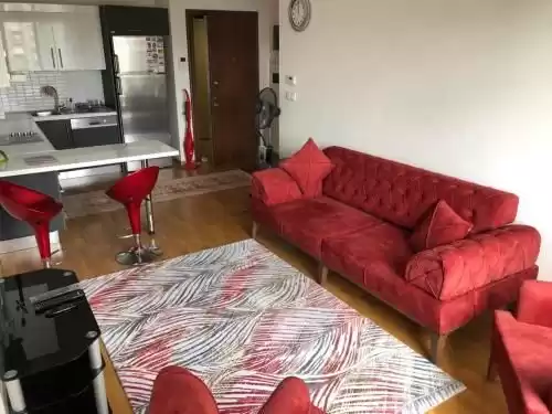 مسکونی املاک آماده 2 اتاق خواب U/F اپارتمان  برای فروش که در استنبول #43961 - 1  image 