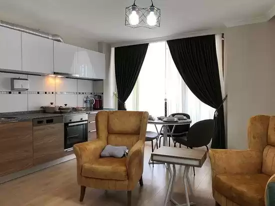 مسکونی املاک آماده 2 اتاق خواب S/F اپارتمان  برای اجاره که در استنبول #44114 - 1  image 