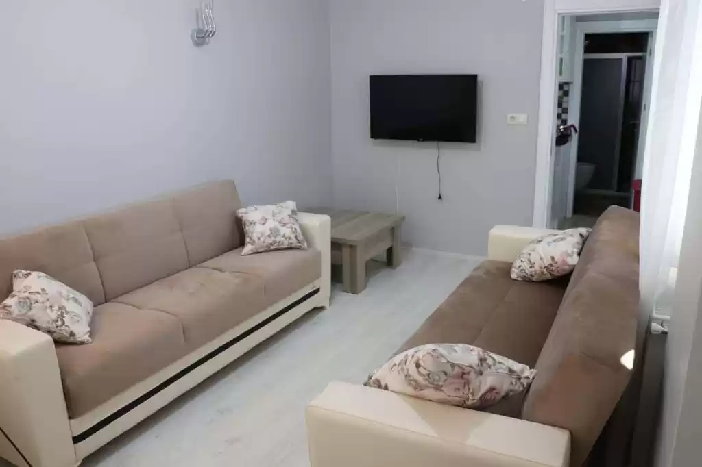 سكني عقار جاهز 2 غرف  نصف مفروش شقة  للبيع في اسطنبول #44795 - 1  صورة 