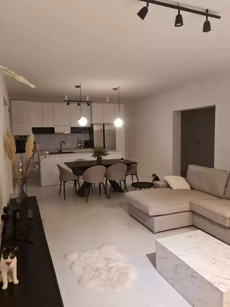 Résidentiel Propriété prête 3 chambres S / F Duplex  a louer au Grand-Londres , Angleterre #46538 - 1  image 