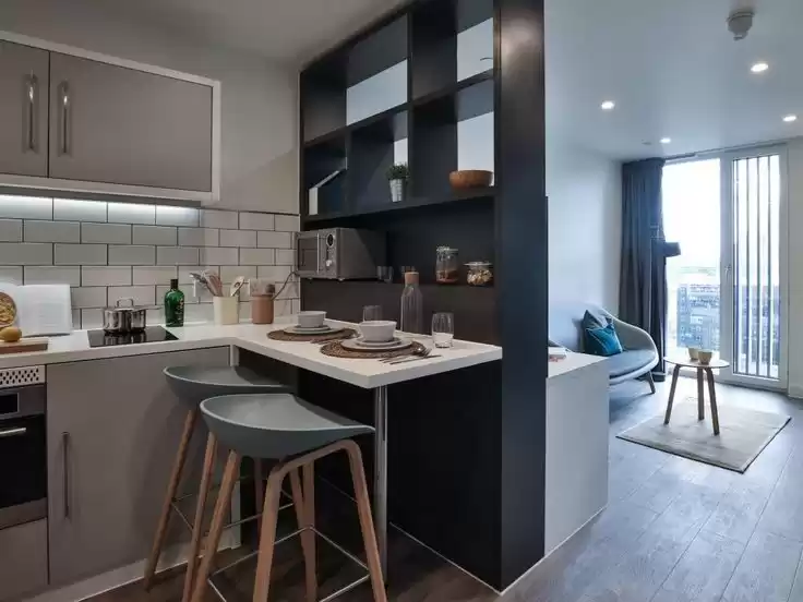 Résidentiel Propriété prête 2 chambres U / f Unités en vrac  a louer au Grand-Londres , Angleterre #46750 - 1  image 