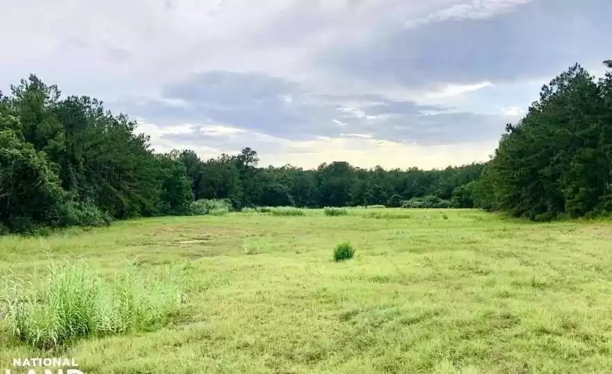 Land Ready Property Commercial Land  for rent in London , Greater-London , England #47663 - 1  image 