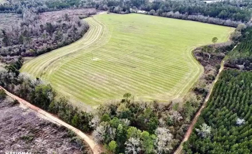 Land Ready Property Commercial Land  for rent in London , Greater-London , England #47682 - 1  image 