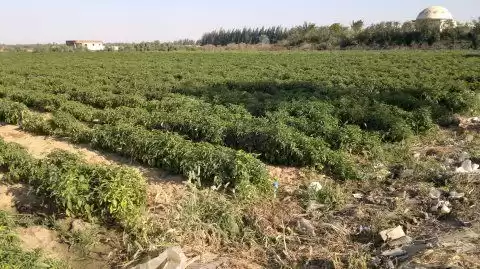 أرض عقار جاهز أرض سكنية  للبيع في النعيجة , الدوحة #51062 - 1  صورة 