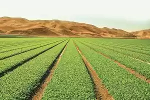 Land Ready Property Mixed Use Land  for sale in Lusail , Doha #51493 - 1  image 